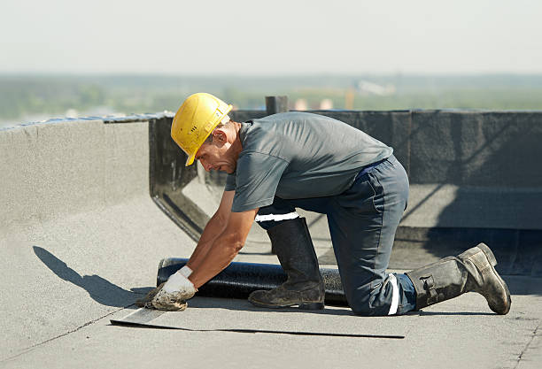 Best Commercial Insulation in Belleair Beach, FL
