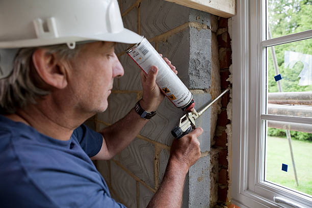 Best Eco-Friendly Insulation in Belleair Beach, FL