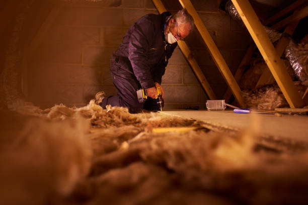 Best Cellulose Insulation in Belleair Beach, FL