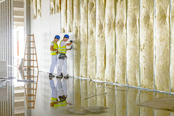 Best Geographic-Specific Insulation Services in Belleair Beach, FL